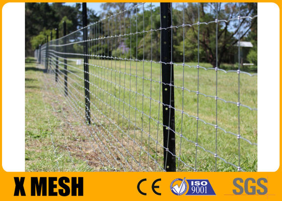 Загородка поля суставного сочленения загородки ASTM A121 фермы металла провода 2.0mm