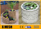 Сад квадрата ячеистой сети Gabion утюга 235 80 x 80mm сваренный окаймляя особенный дизайн